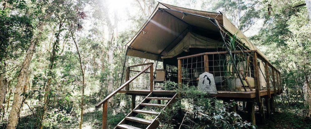 Paperbark Camp Hotel Woollamia Exterior photo
